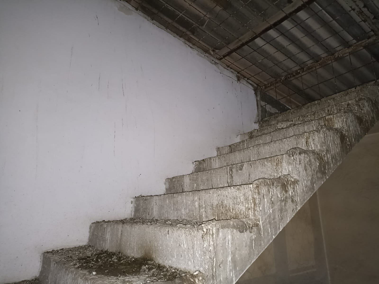 WhatsApp Image 2022-12-26 at 4.52.47 PM.jpeg